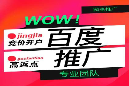 竞价广告的投放时机与频次选择——基于案例的探讨